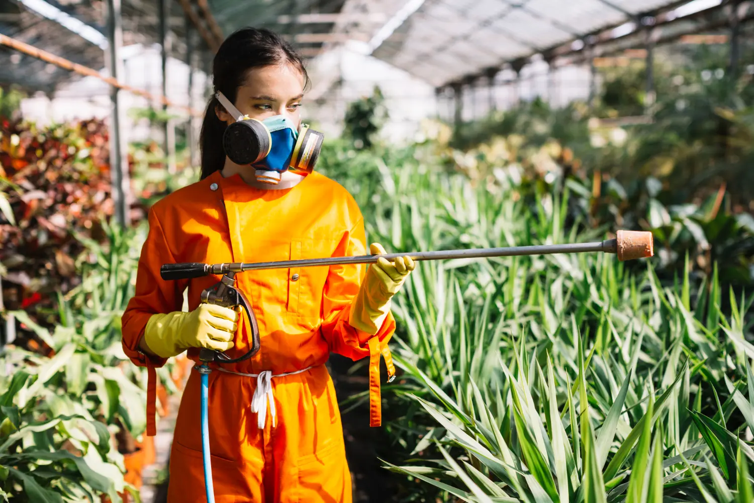 Decis Inseticida Poderoso no Combate a Pragas Domésticas e Agrícolas