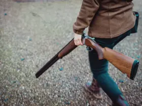 espingarda winchester 22